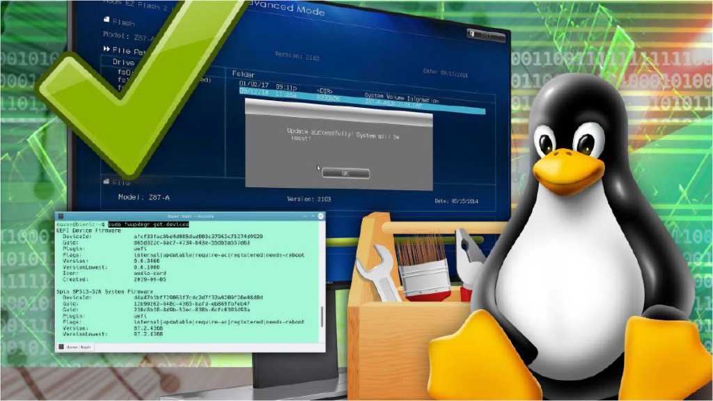 Image: Bios-Update mit Linux - so geht's