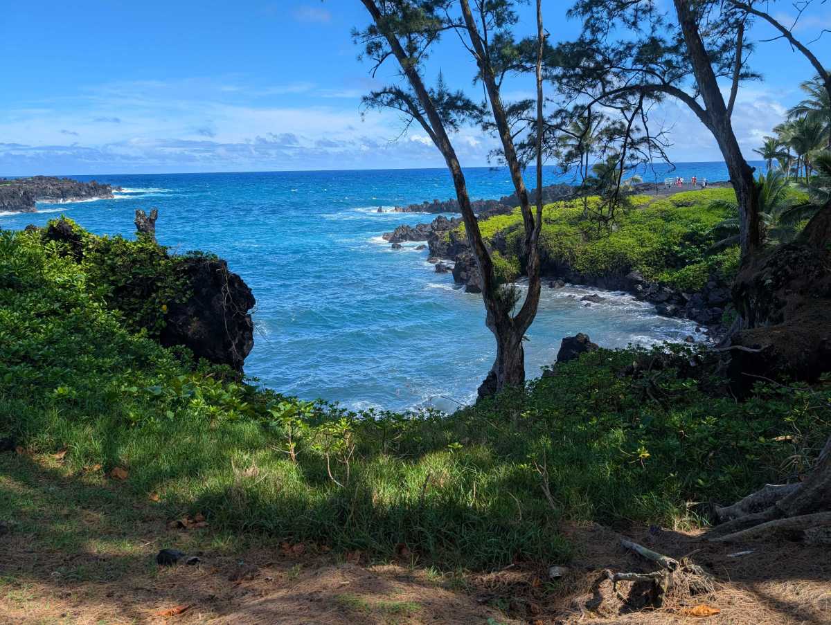 pixel 9 pro xl camera sample 2