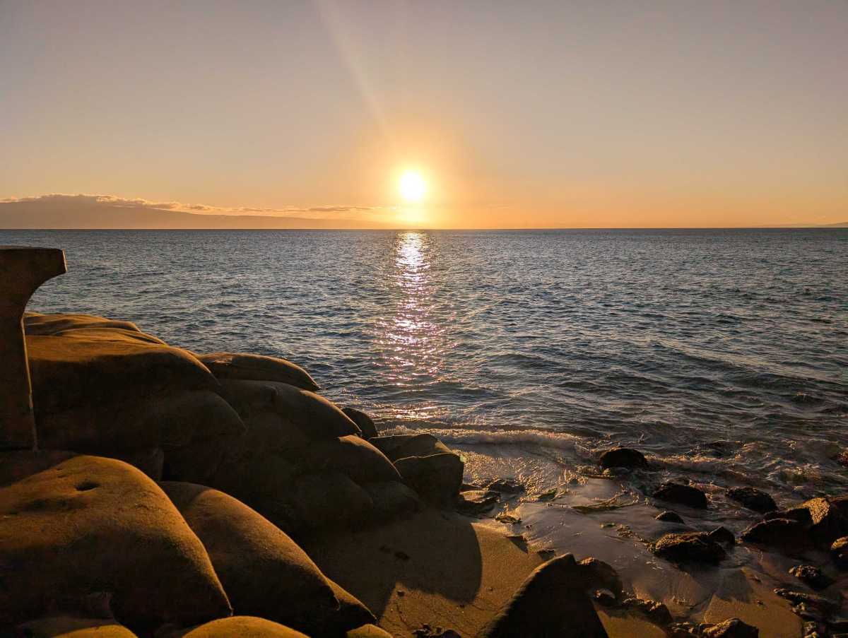 pixel 9 pro xl camera sample 4