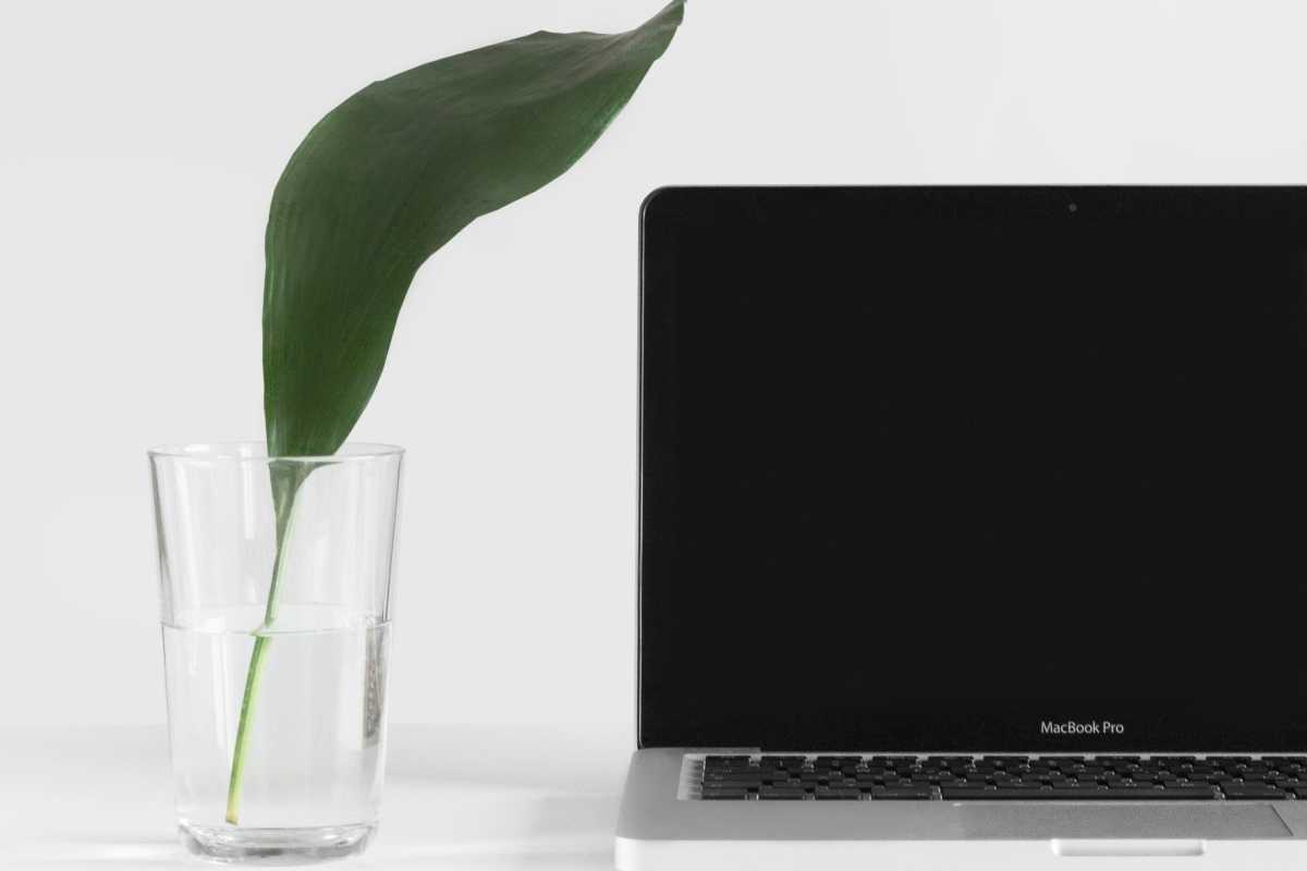 MacBook Pro laptop on desk next to glass of water with green plant