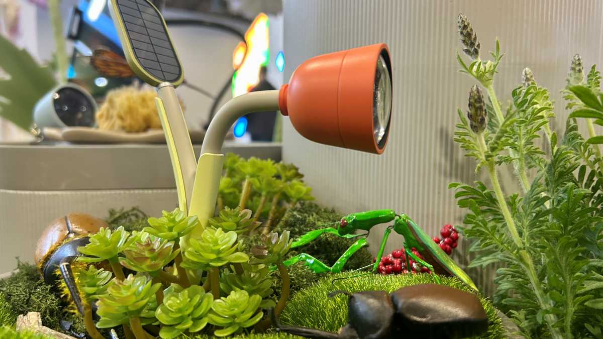 Petal camera embedded among plants