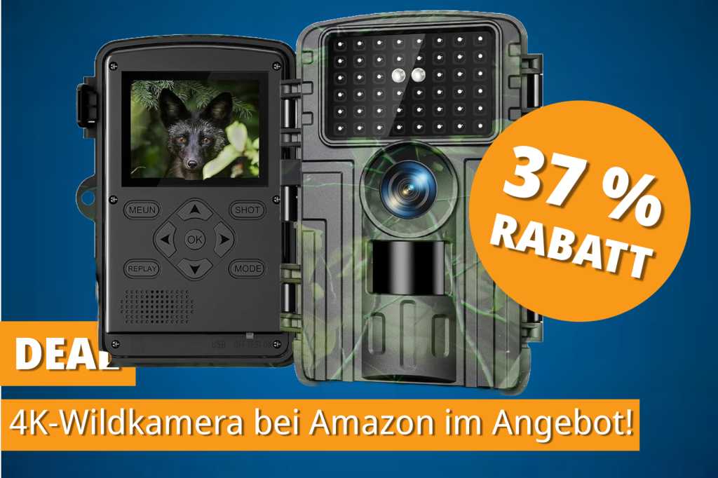 Image: 4K-Wildkamera mit Wlan & Nachtsicht â Bestseller jetzt im Angebot!