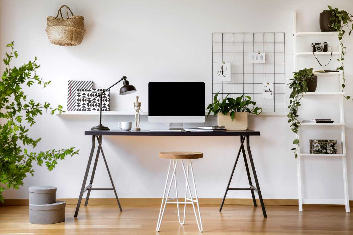 Clean home office desk workstation setup with lots of plants around