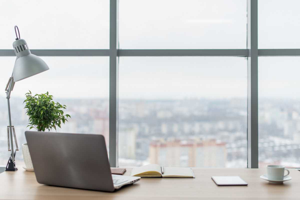 Clean workspace desk with plant and zero clutter