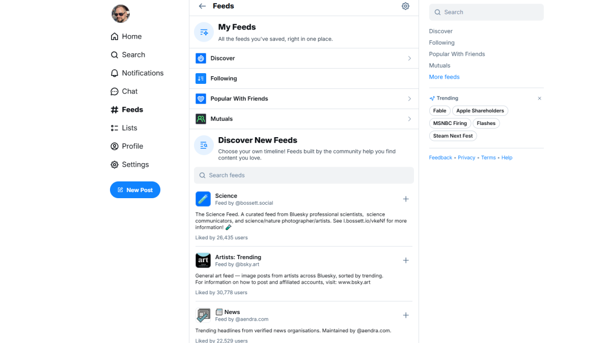 Bluesky customize your feeds screenshot