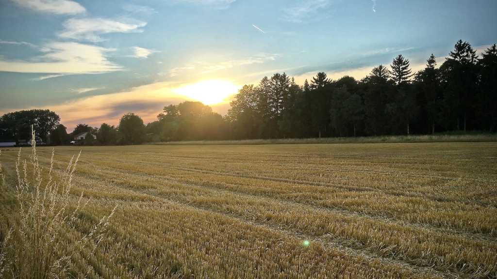Image: iPhone-Fotos korrigieren: Was sind das fÃ¼r blaue Punkte in Fotos und Videos?