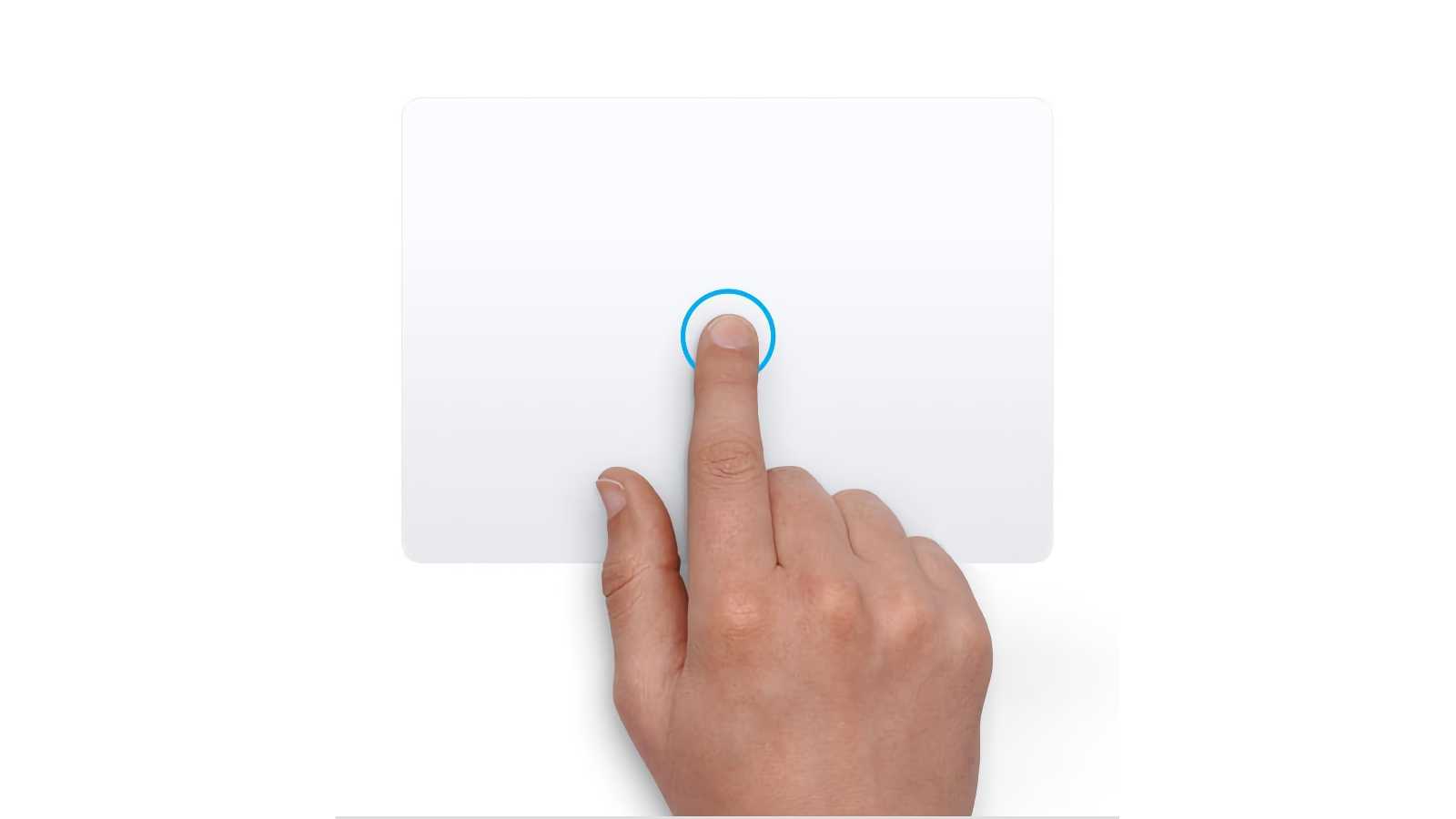 Magic trackpad data detectors