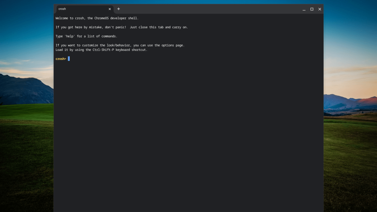 ChromeOS Crosh terminal screenshot