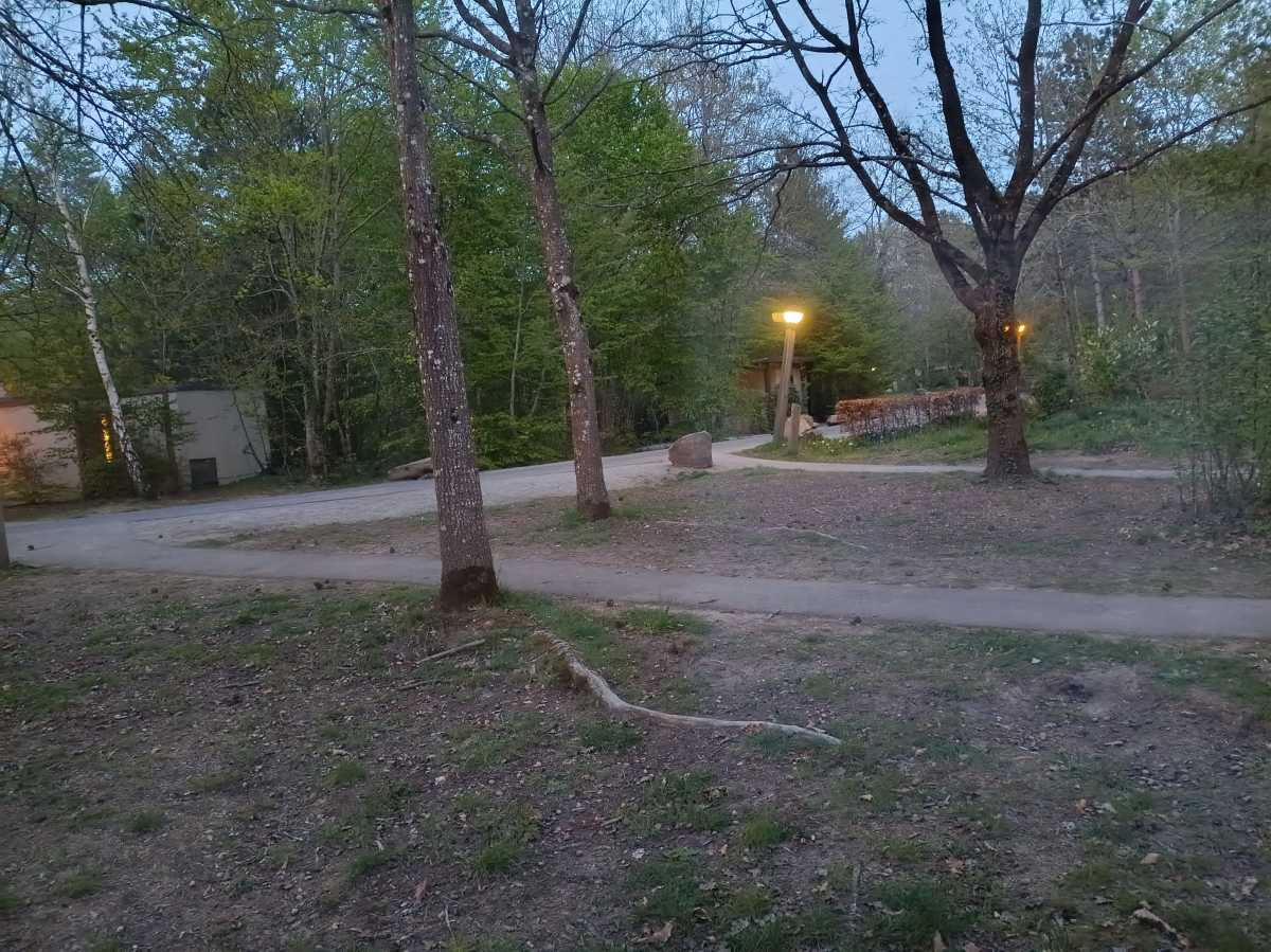 A shot of a park in low light