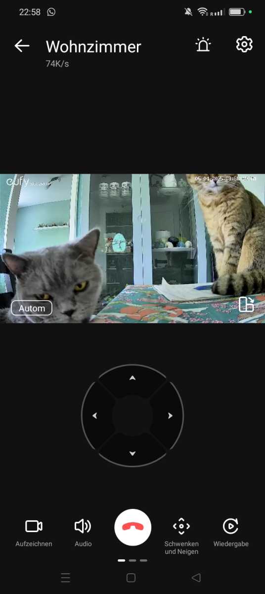 eufy security cam cats