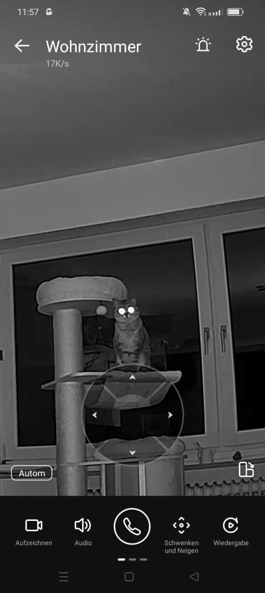 eufy security cam cats