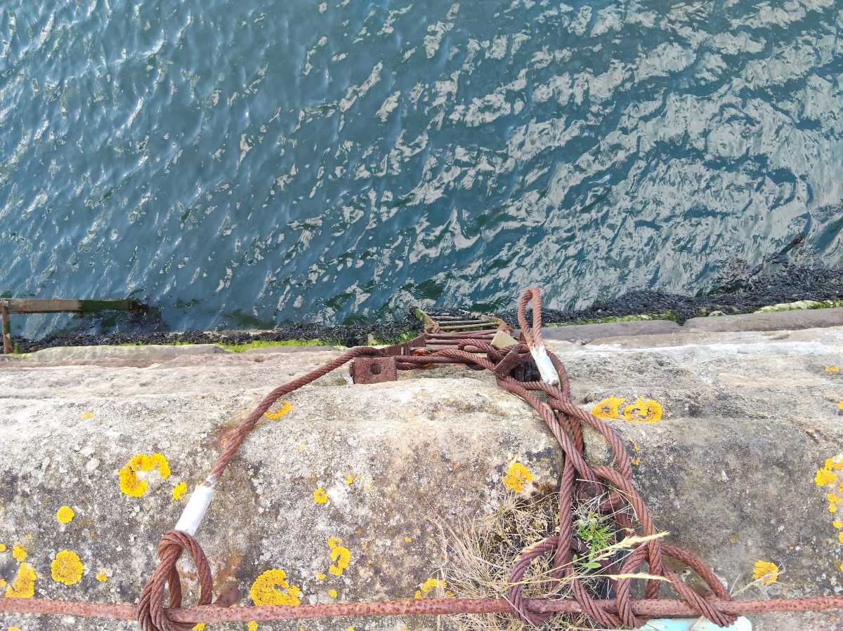 Oppo Reno 13 FS Close Up Scene