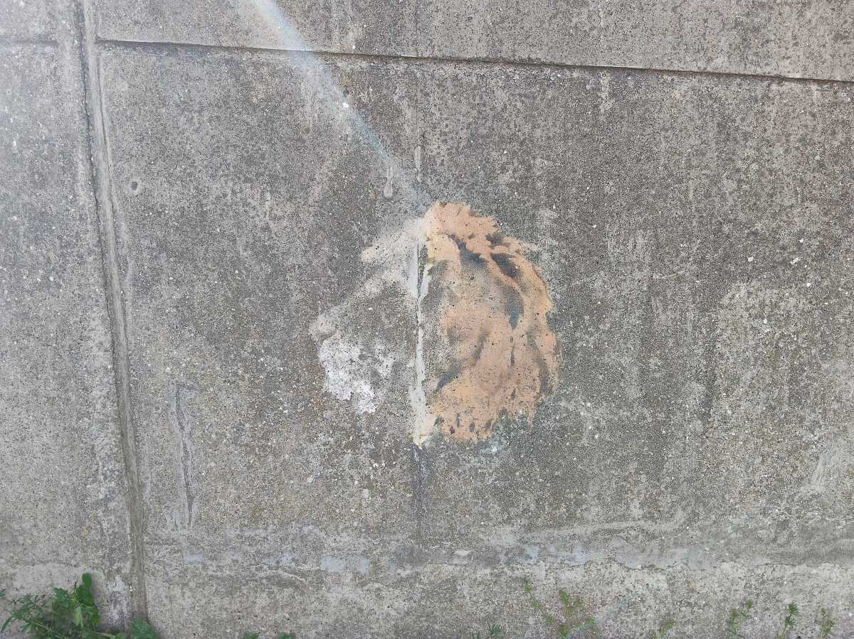 Oppo Reno 13 FS Subtle Colour Subject