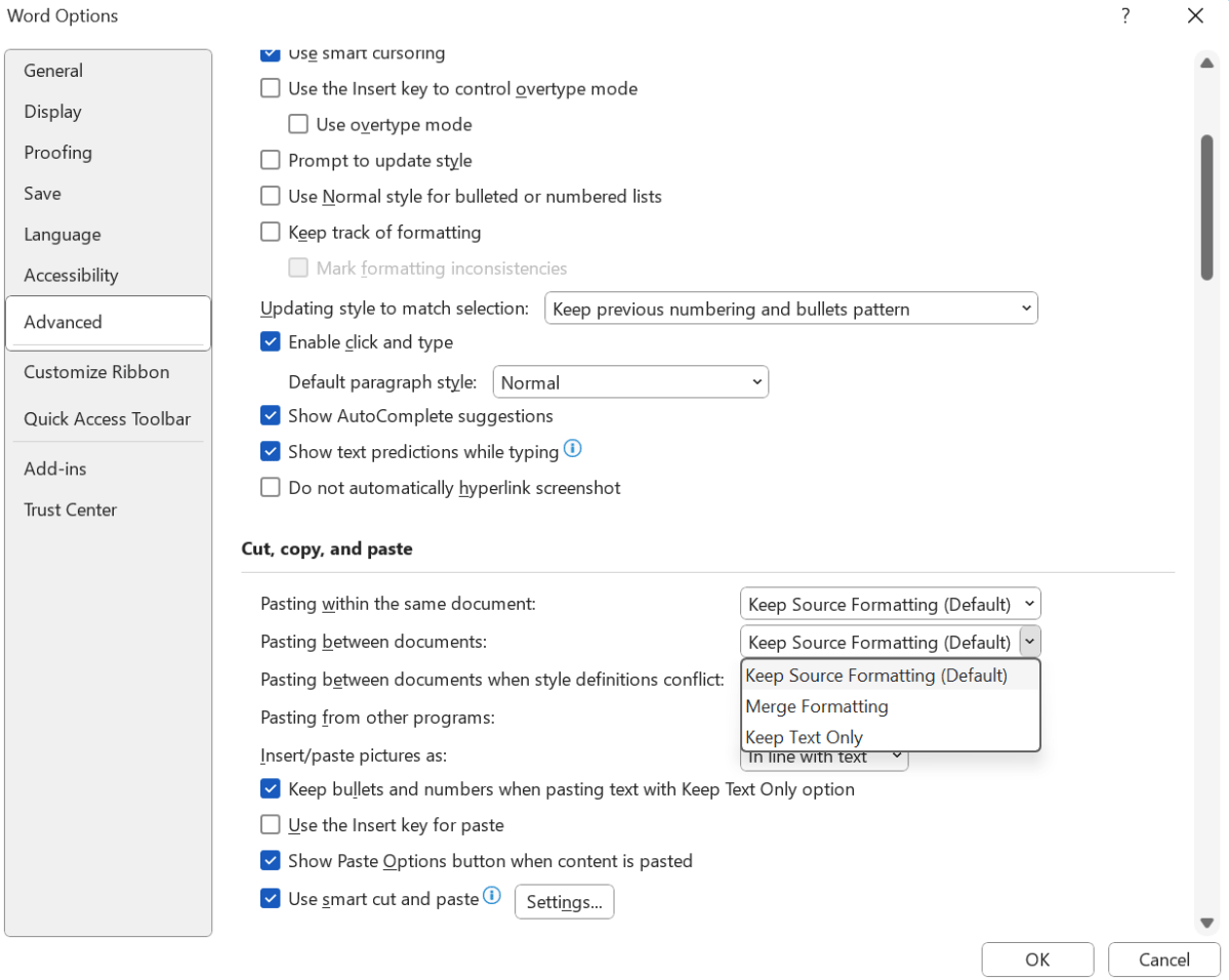 Microsoft Word