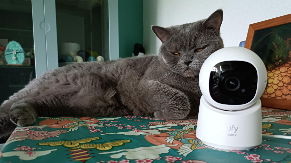 eufy security pet cam