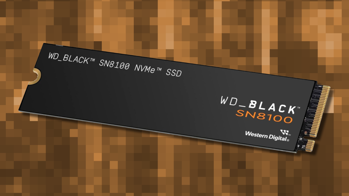 Western Digital SN8100 SSD