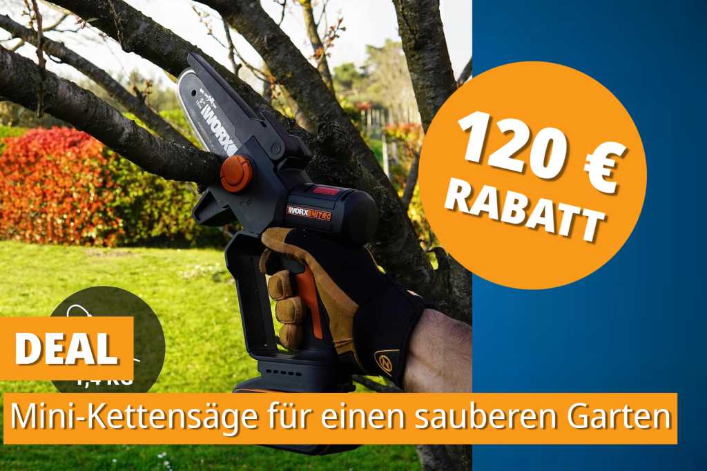 Image: Gartenarbeit mit Turbo: Diese Akku-KettensÃ¤ge kostet aktuell unter 100â¯â¬