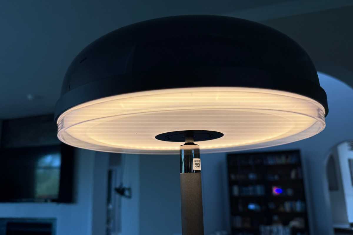 Govee floor lamp downlight