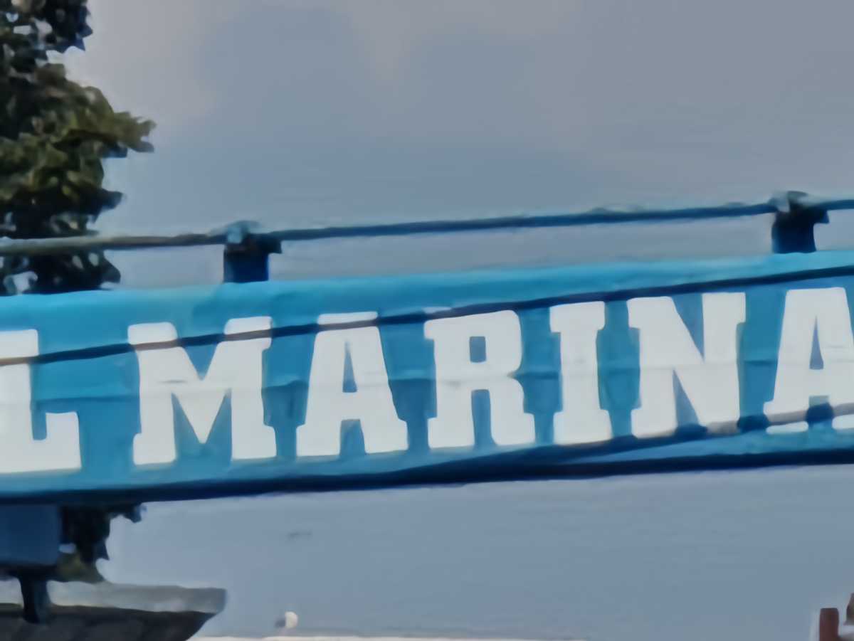 Marina 50x