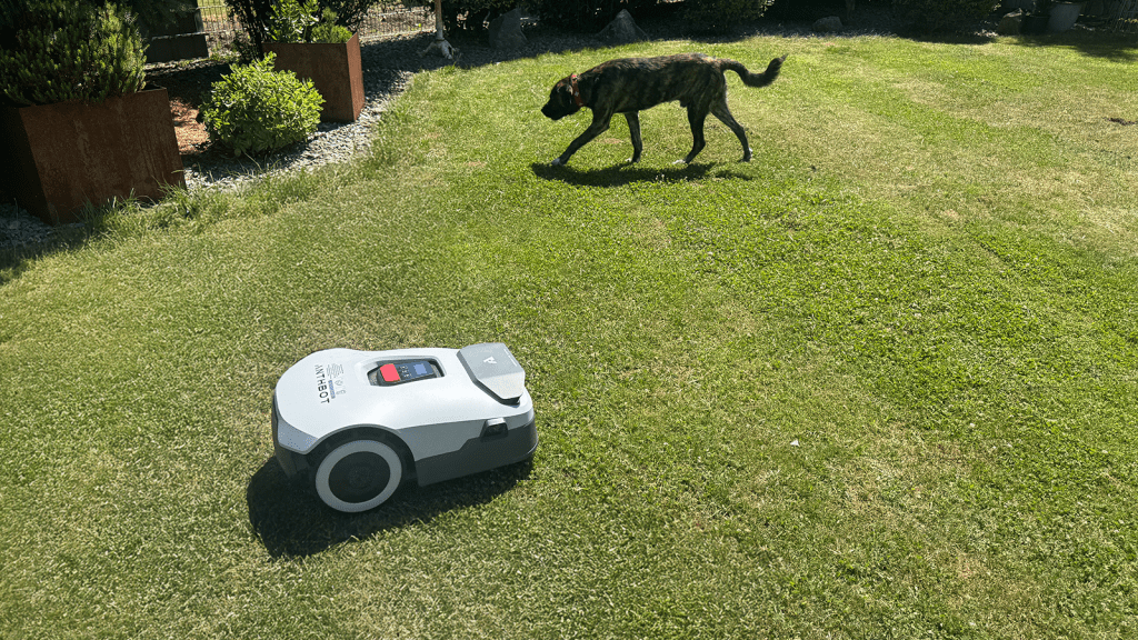 Image: Anthbot Genie 600 im Test: Wie gut ist die automatische Kartierung des MÃ¤hers?