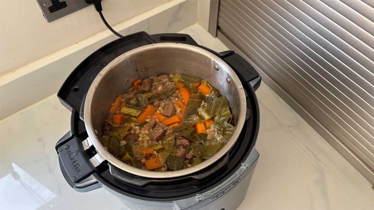 Instant Pot Pro stew