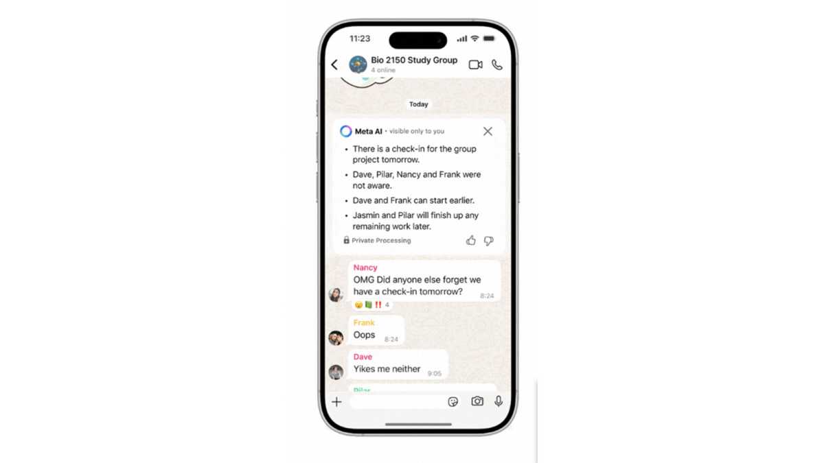 WhatsApp Message Summary example