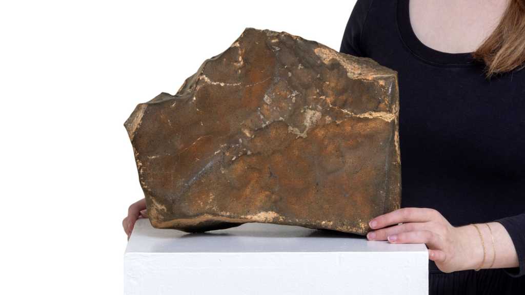 Image: Ein StÃ¼ck Mars fÃ¼r 5,3 Millionen US-Dollar: Rekordpreis bei Sothebyâs