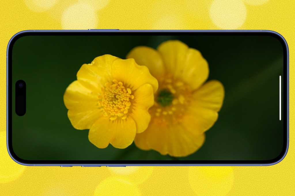 Image: Vergessen Sie iOS 26 â das sind die Codenamen der nÃ¤chsten Generation