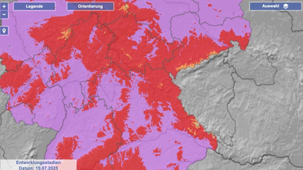 Image: Gefahr im Freien: Diese Karte sollten Sie jetzt kennen