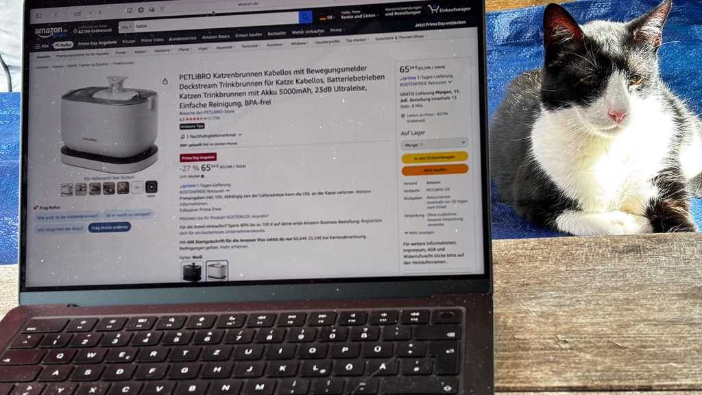 Image: Der Prime Day muss nicht fÃ¼r die Katzâ sein