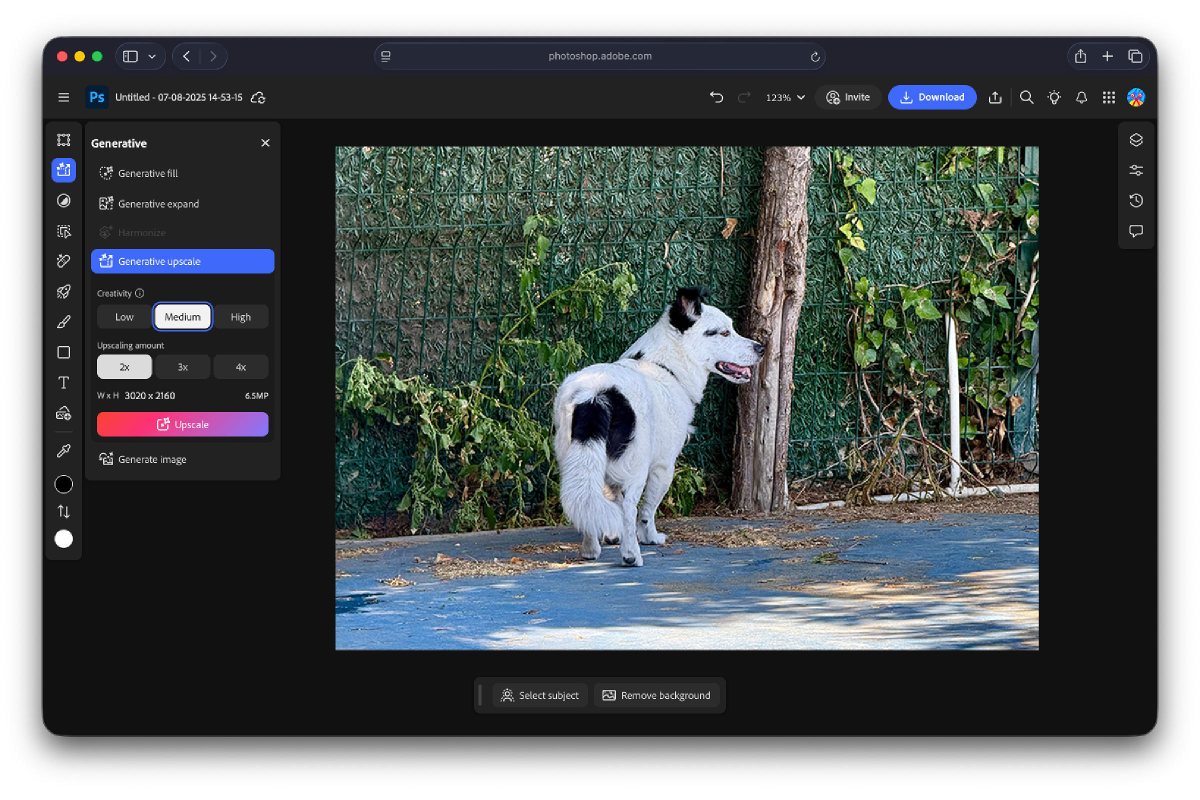Photoshop generativo exclusivo antes