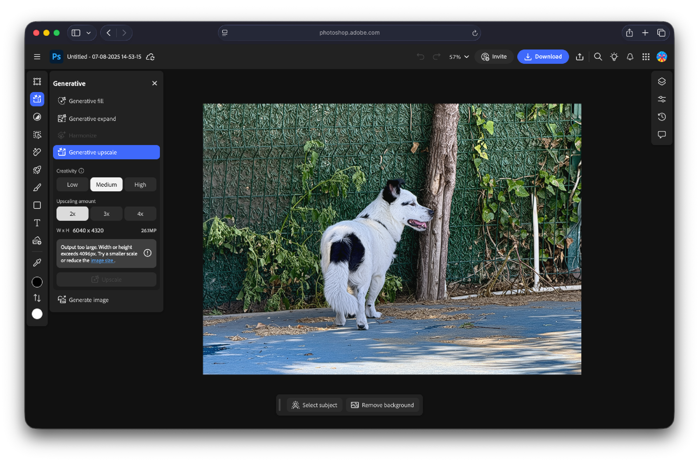 Photoshop generativo exclusivo después