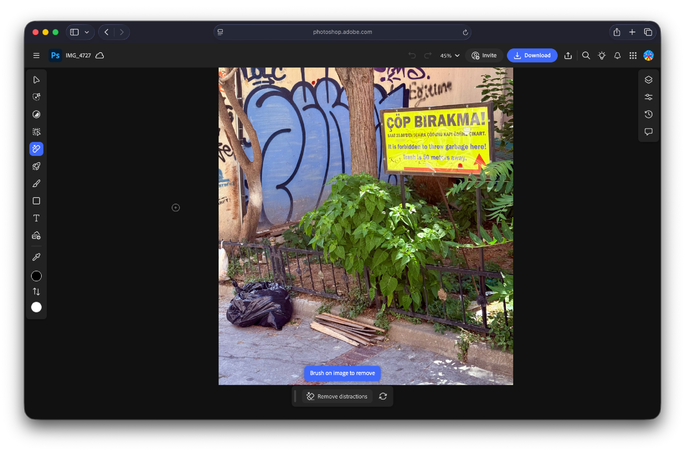 Herramienta de eliminación de objetos de Photoshop antes