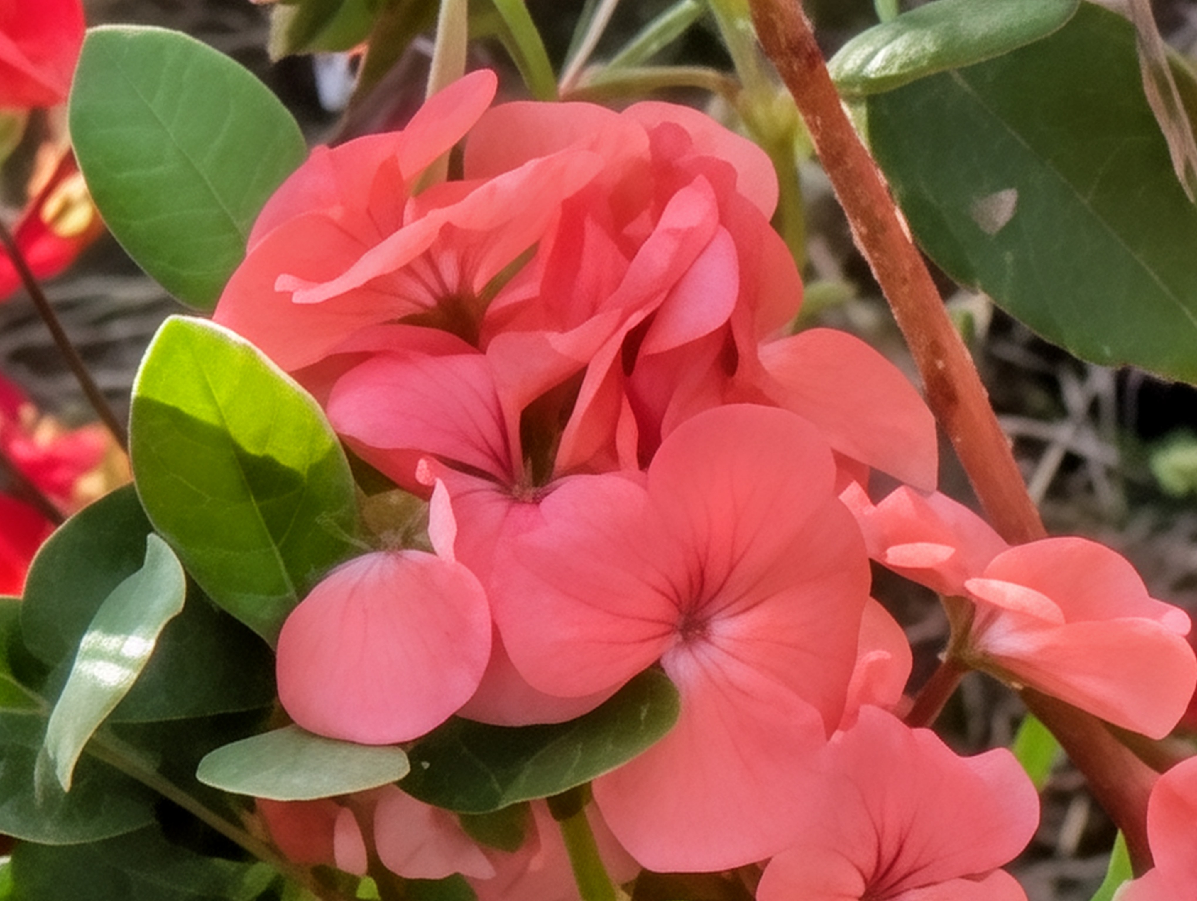 Google Pixel 10 Pro camera sample 100x Pro Res Zoom on