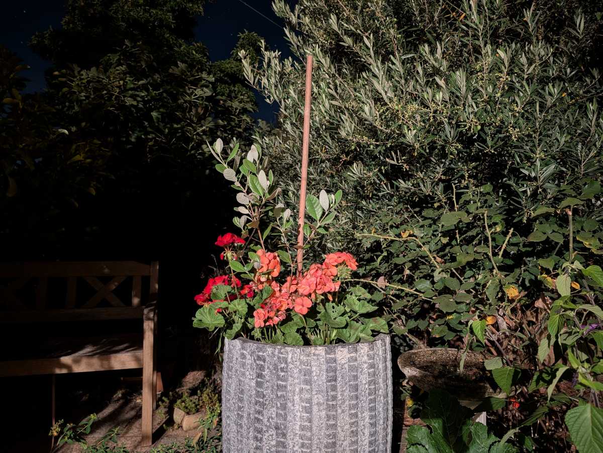 Google Pixel 10 Pro camera sample low light Night Mode 4 minute exposure