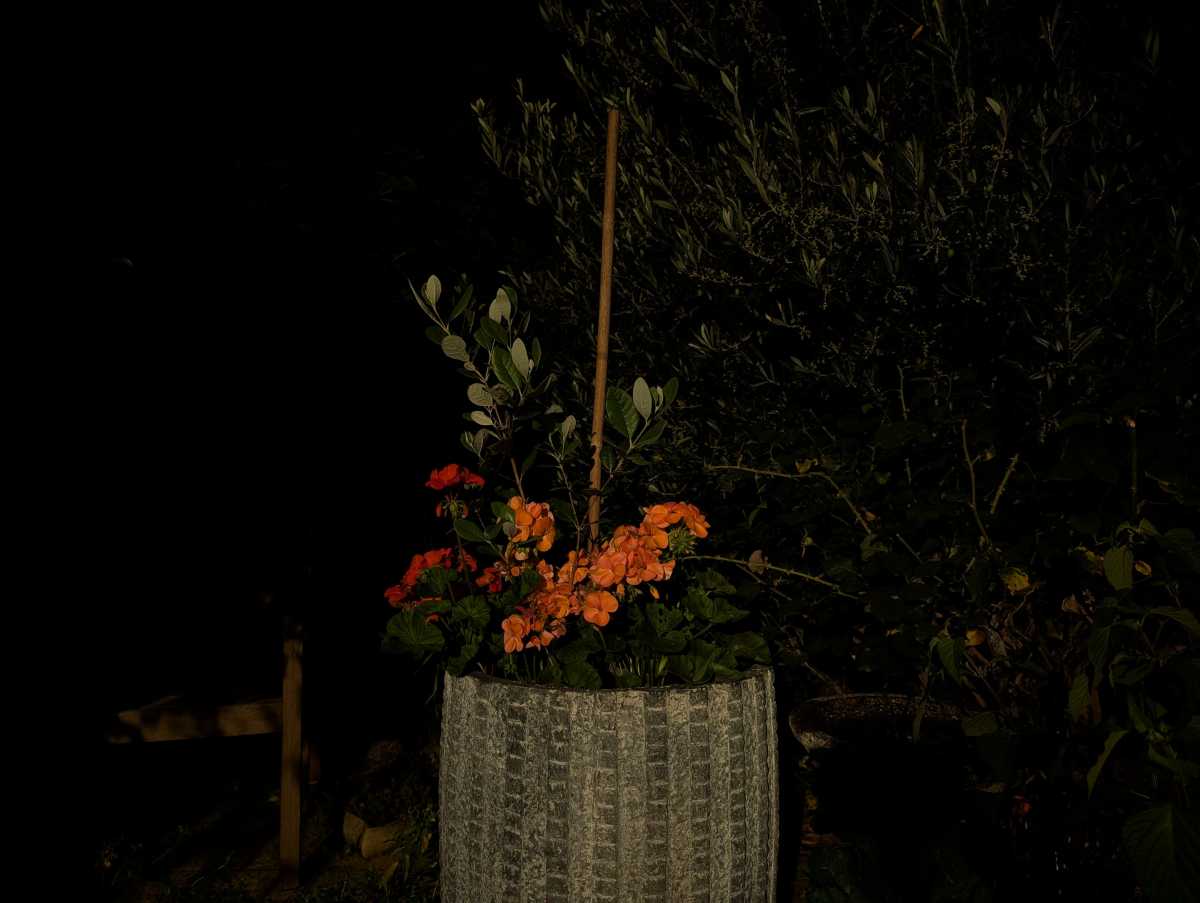 Google Pixel 10 Pro camera sample low light Photo Mode