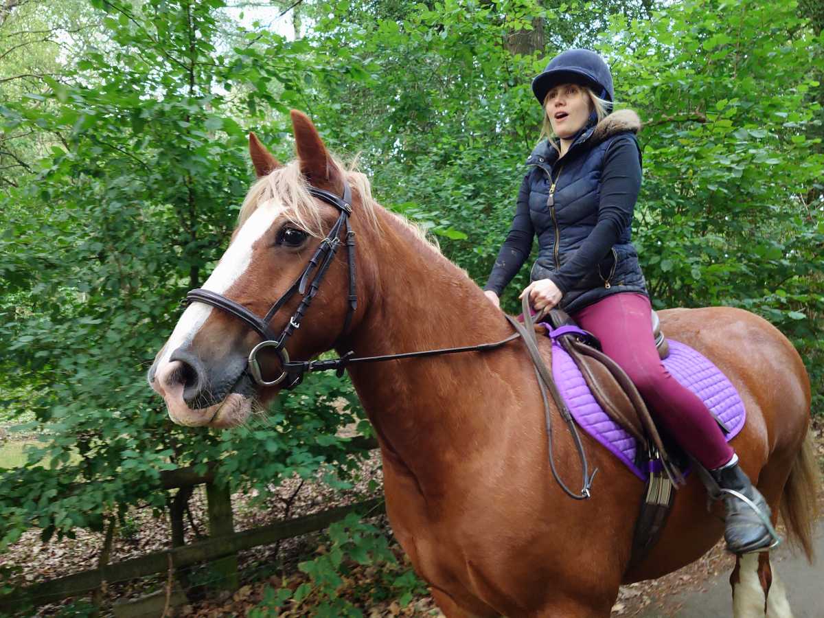 Sony Xperia 1 VII test photo 16