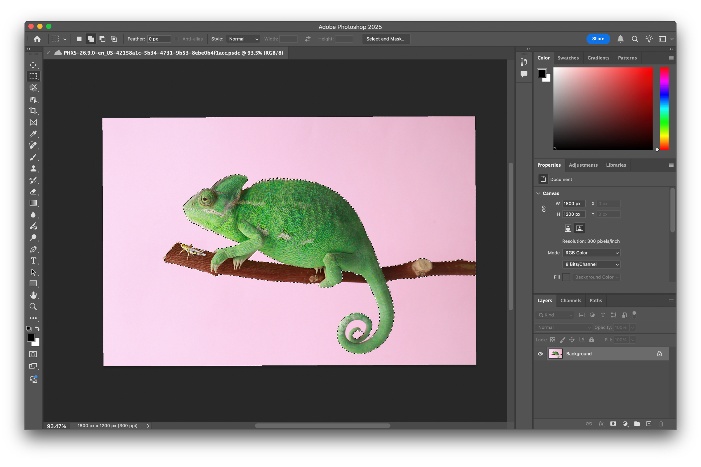Subject selection in Photoshop