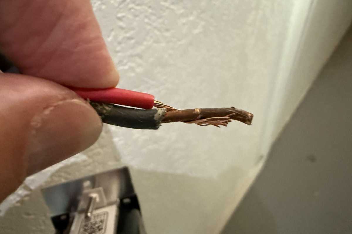 12 twisted wire