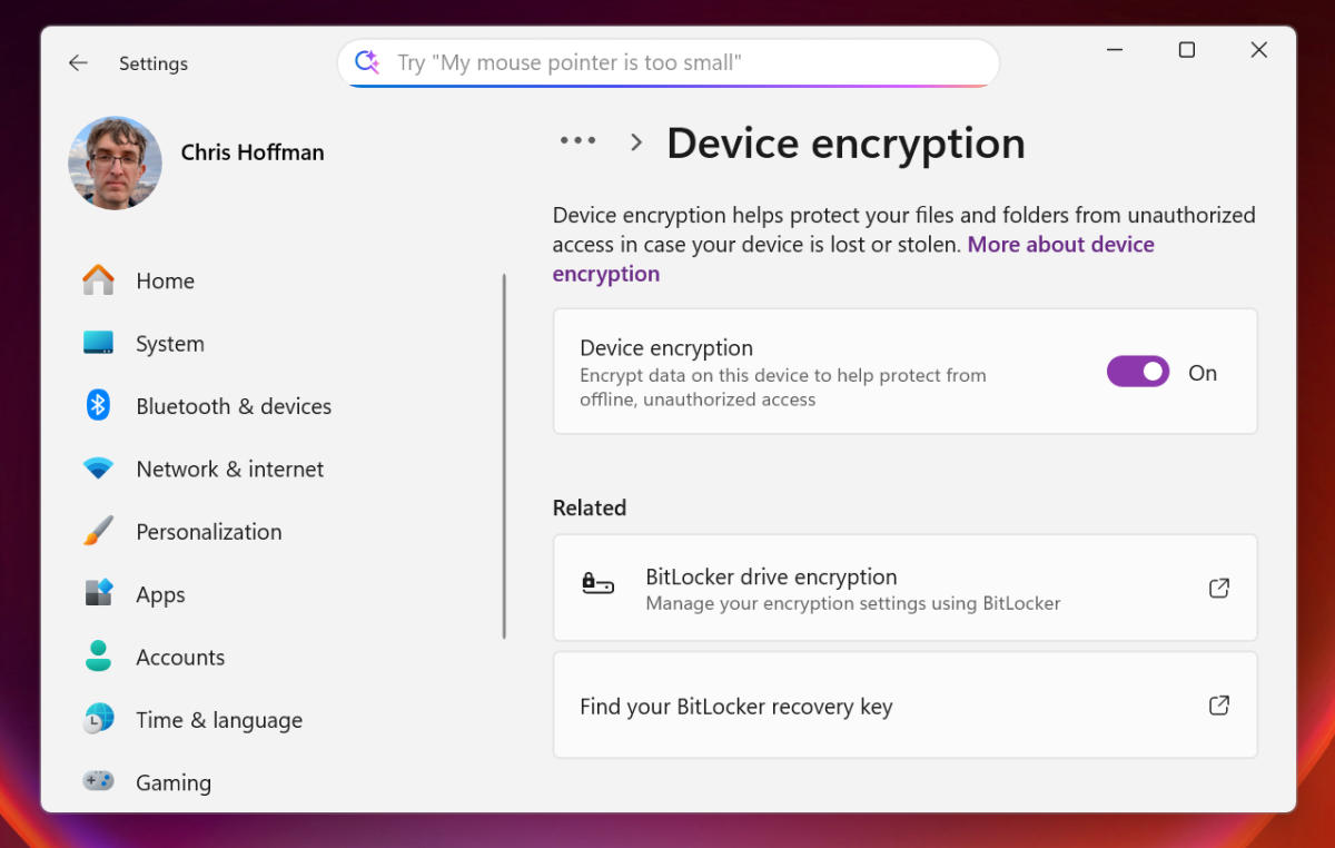Windows 11 Device Encryption settings screenshot