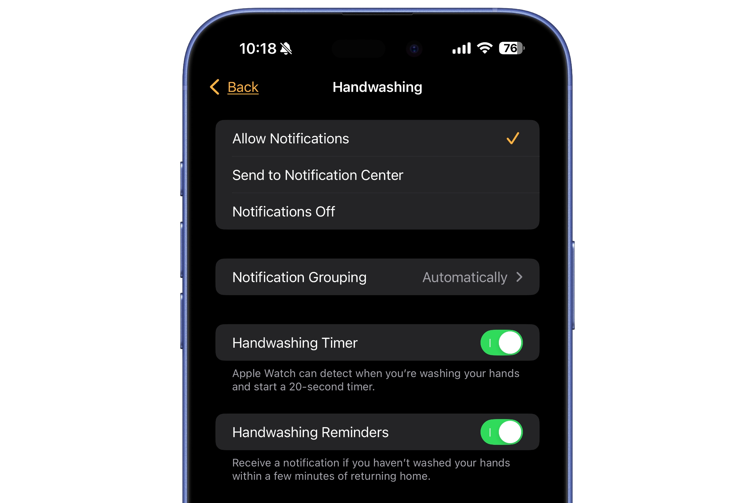 Apple Watch Handwashing setting