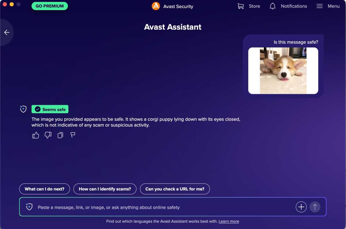 Cachorro seguro AvastFree