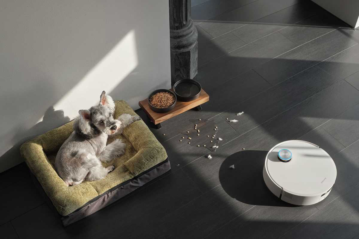 Dreame Pet Activity Hotspots