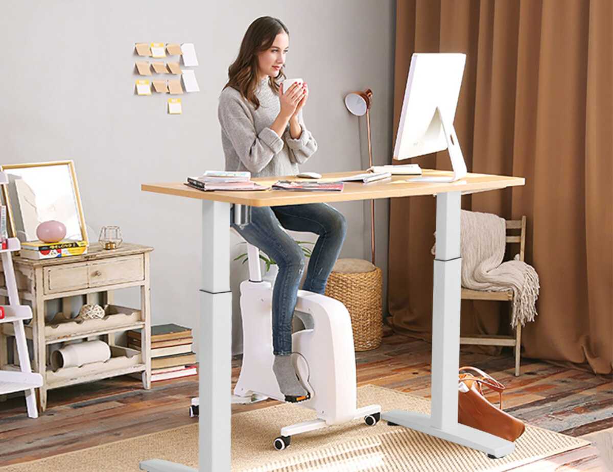 Ridiculous standing desk accessory Flexispot under desk bike