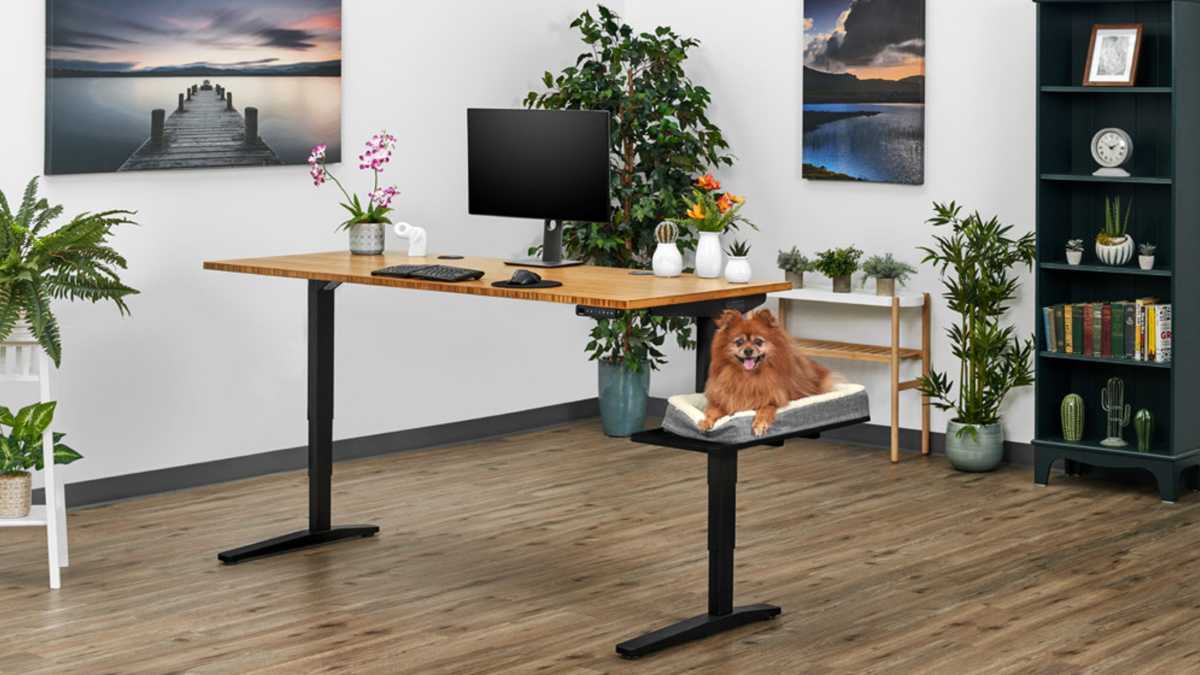 Uplift dog bed attached to standing desk