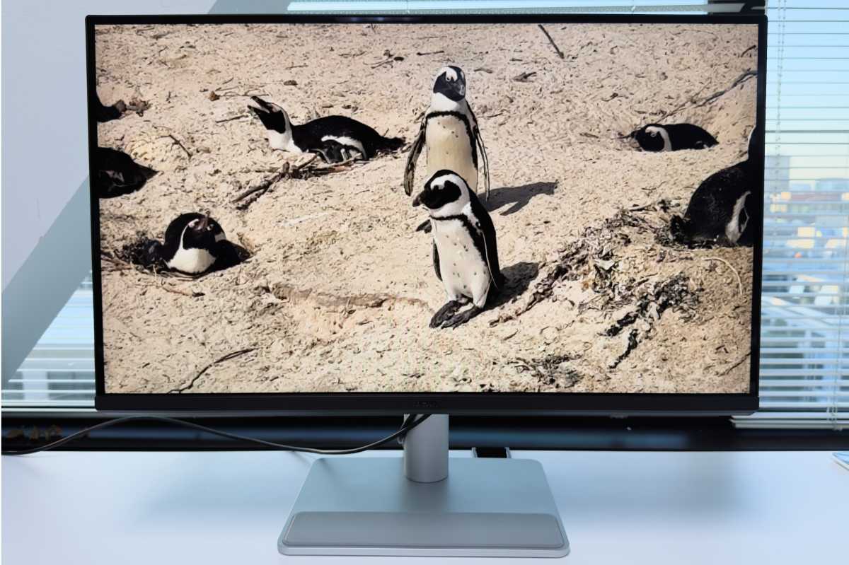 benq ma270up