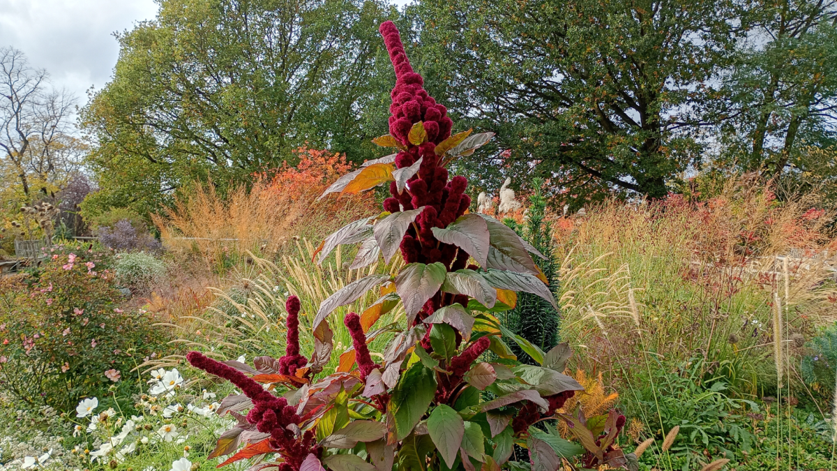 Motorola Moto G06 Power 5