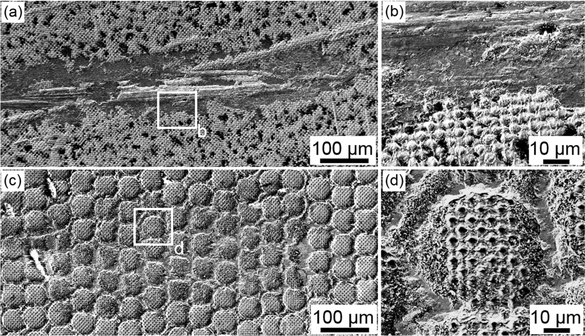 Why the iPhone Air’s USB-C port is actually a technical marvel
