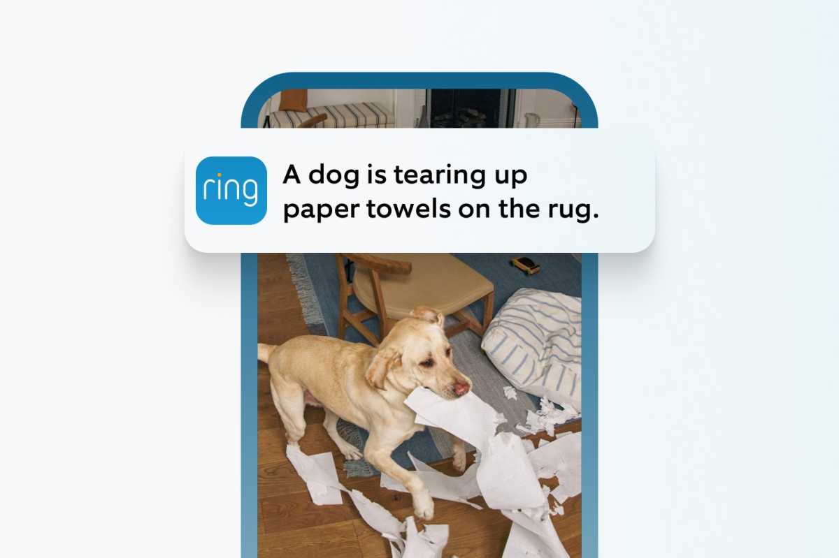 Ring AI Single Event Alert