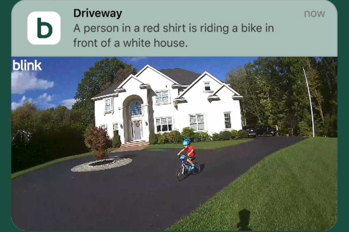 Blink Video Descriptions